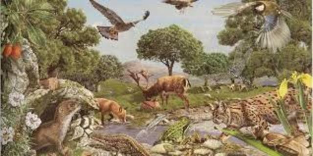 Personajes importantes