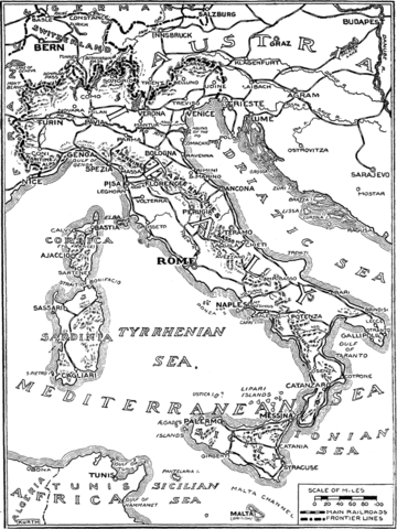 Germany's Blank Check to Austria-Hungary