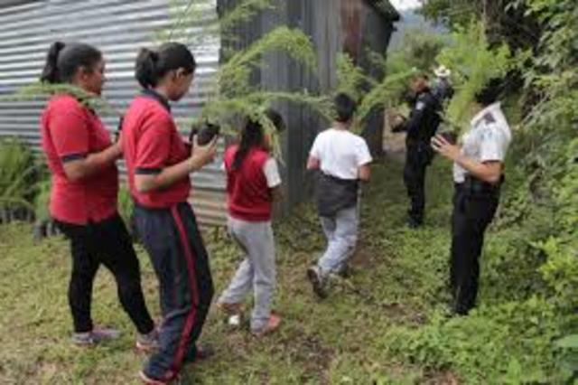 Primeros 5,000 árboles