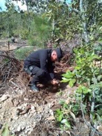 Siembra de los primeros 5,000 árboles