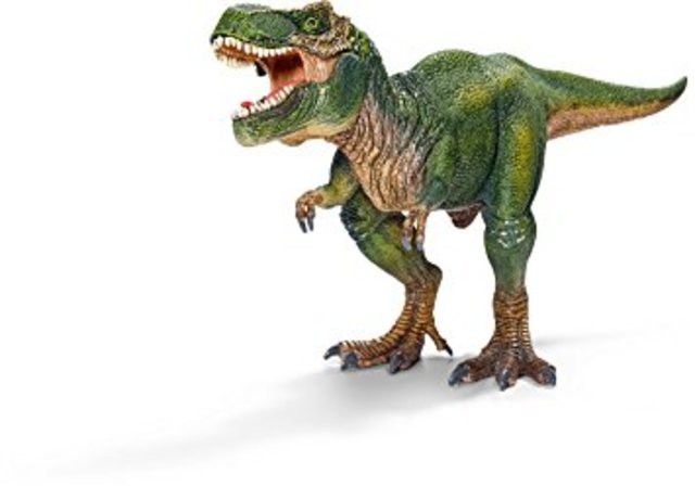 TIRANNOSAURUS REX
