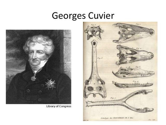 GEORGE CUVIER