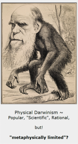 The Theory Of Evolution