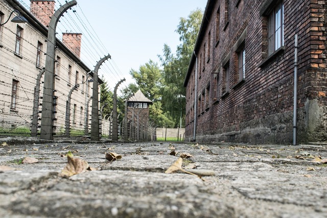 El ejército soviético libera Auschwitz