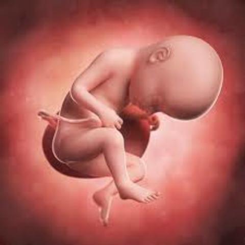 Semana Treinta y uno