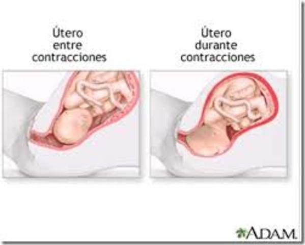 Semana Treinta y Ocho