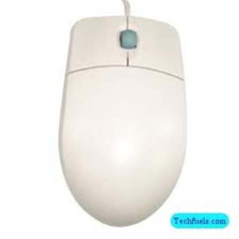 Computer mouse goes public