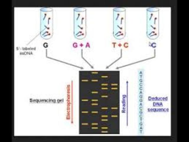 Sanger, Gilbert y Maxam