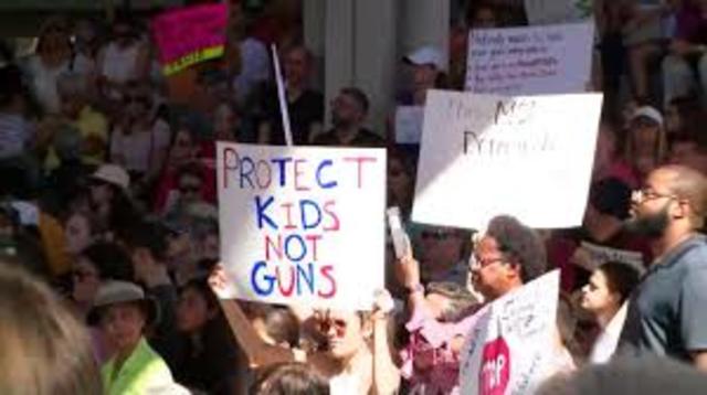 Gun Control After Florida School Shooting