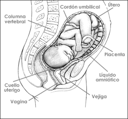 SEMANA TREINTA Y NUEVE