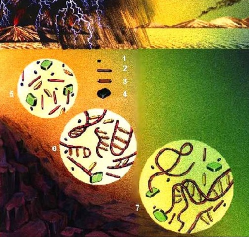 Conformación de la "Sopa Primitiva"