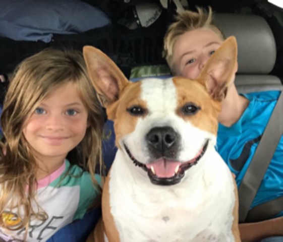 Adopted My Dog, Stella