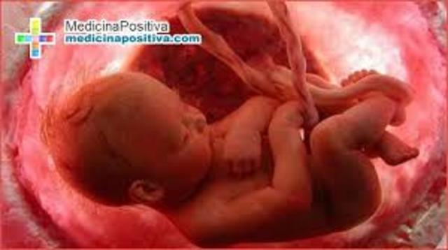 semana 29 de embarazo