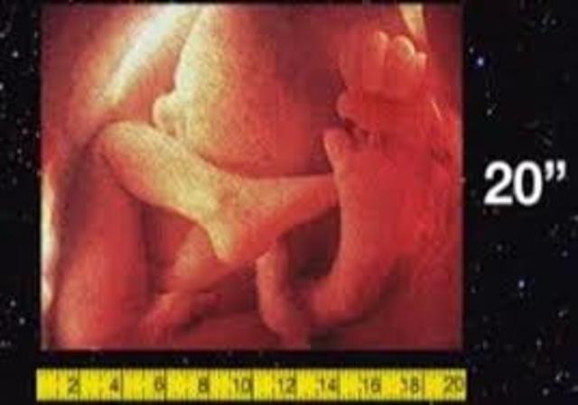 semana 37 de embrazo