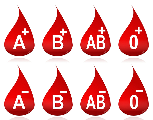 Three Blood Types
