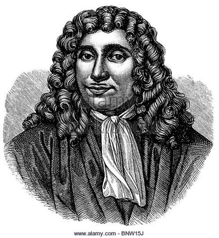 Anton van Leeuwenhoek