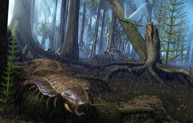 Surgimiento de Insectos y Periodo Carbonífero