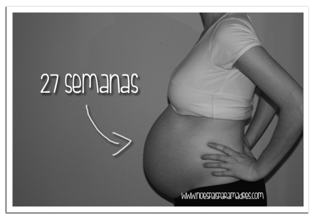 Semana 27 y 28 (Termino del segundo Trimestre en la semana 27)