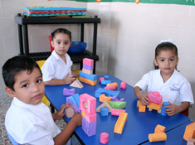 CARACTERISTICAS ENFOQUE COGNOSCITIVISTA