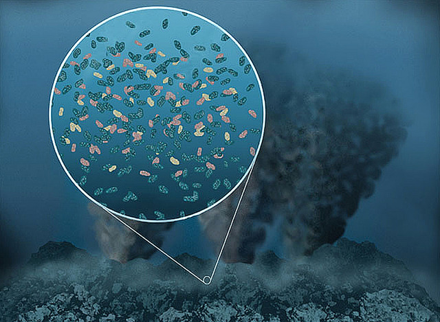 Origen de los Primeros Organismos