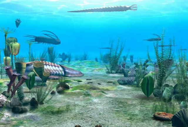 Explosión del Cámbrico