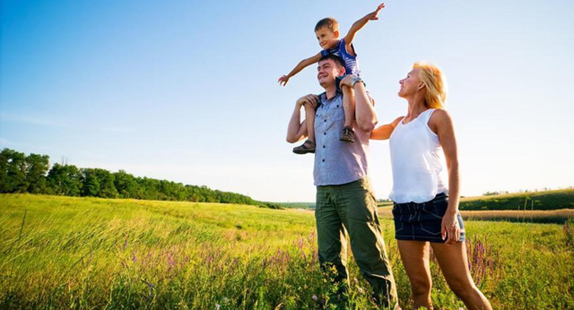 colocacion de paneles