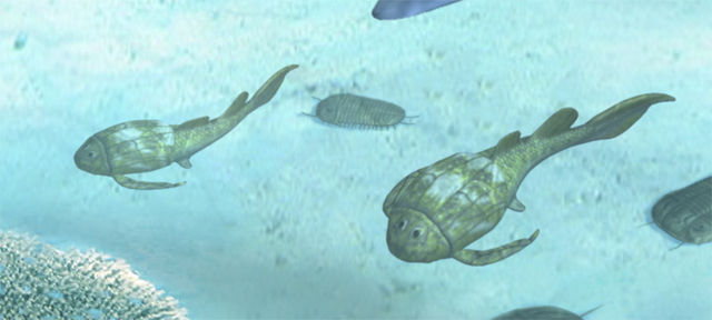 Desarrollo de Primeros Peces