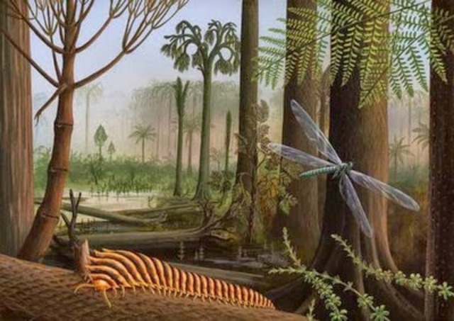 Oirgen de los Insectos