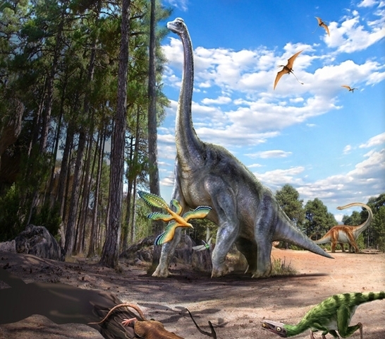 Primeros Mamíferos y Aves