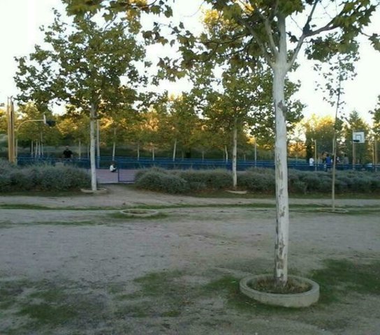 Las canchas de futbol.
