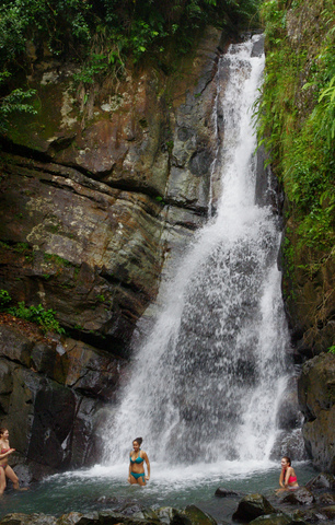 Nosotros vemos y tenemos almuerzo en el Yunque National Forest