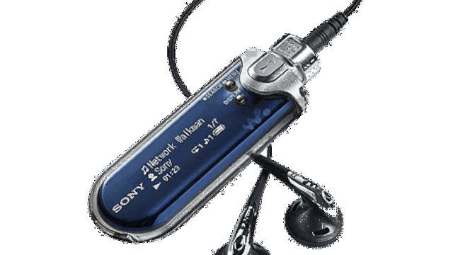 Network Walkman (Flash)