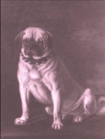 PUG de la dinastia europea