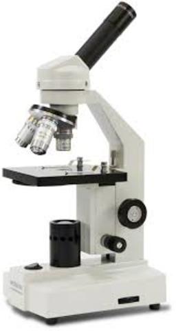 Anton van Leeuwenhoek