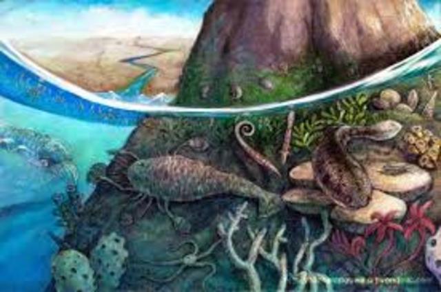 Ordovician Period 500 MYA