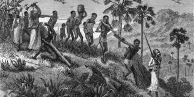 2ª metade do século XIX