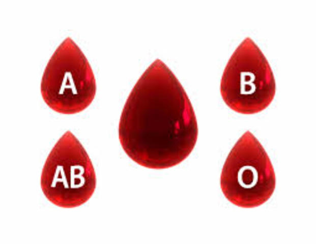 Karl Landsteiner discovered three blood types (A, B, O)