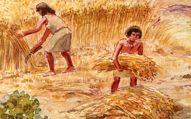 Aparición agricultura y ganadería