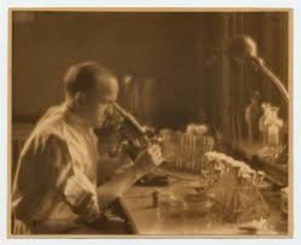 BACTERIAS Y TRANSFORMACION.