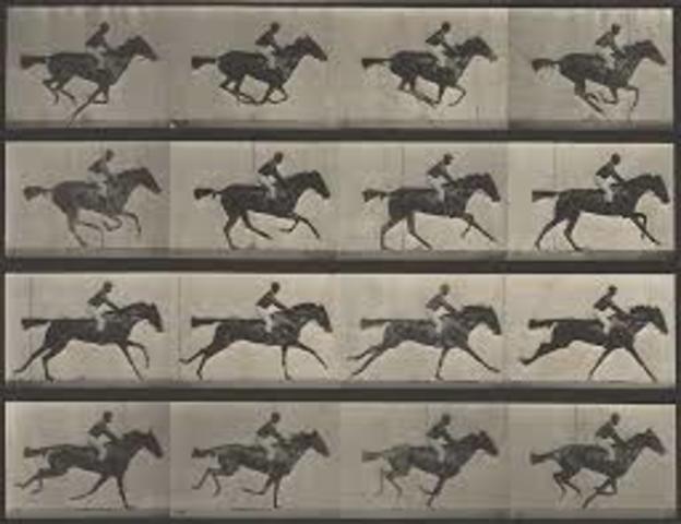 Eadweard Muybridge Motion Study Circa 1872