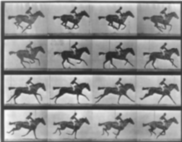 Eadweard Muybridge Motion Study Circa 1872