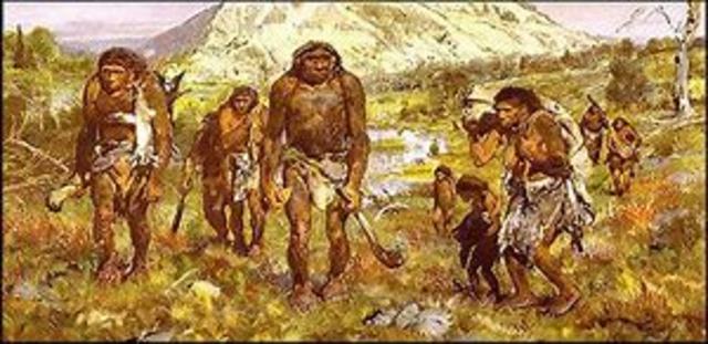 Agricultura y ganaderia