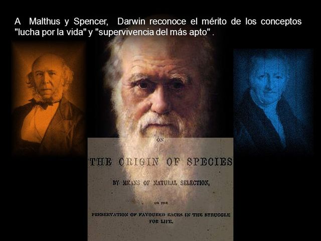 Darwin, Malthus y Spencer
