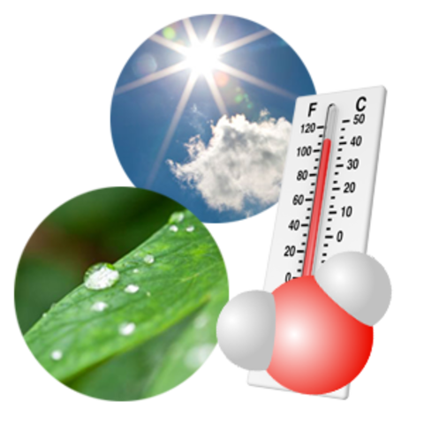 Parámetros para incubación