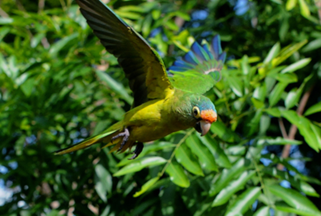 Cuarto Día Parte Dos
