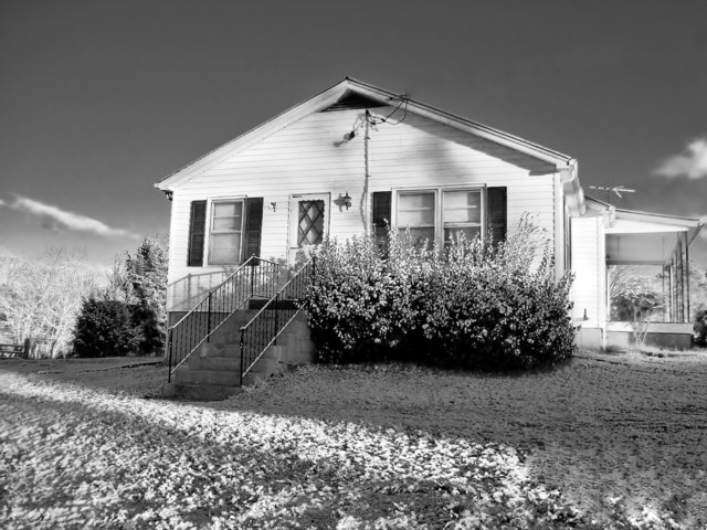 Obasan Lives with Naomi and Stephen