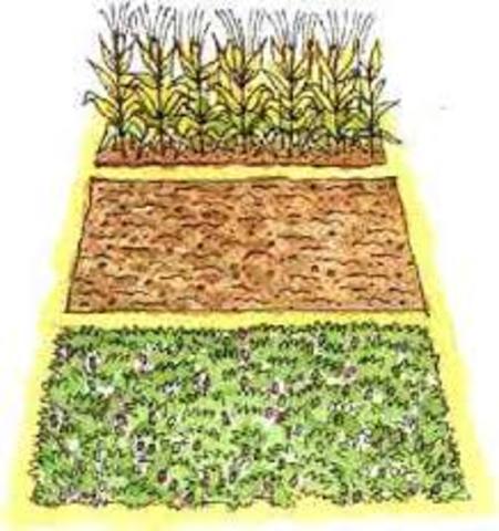 Lord Townshend 's contribution