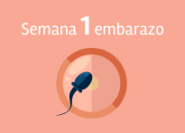 1 semana