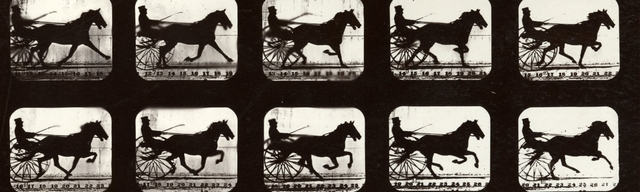 Storia e tecnica della fotografia