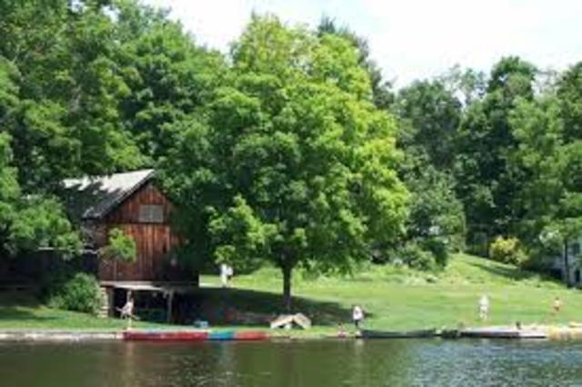 Elementary School Stage (Industry vs. inferiority)-Erikson